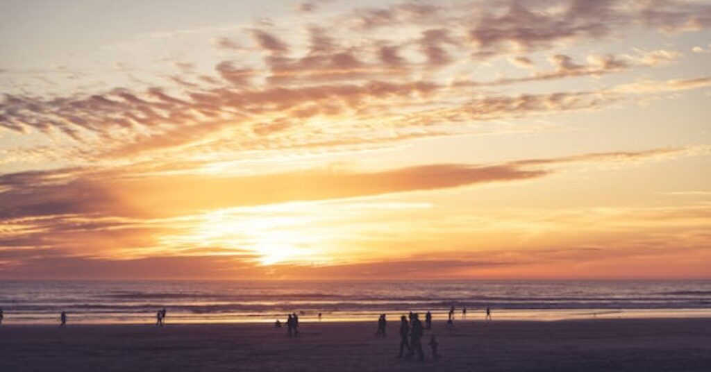 Beachcombing-activities for adults