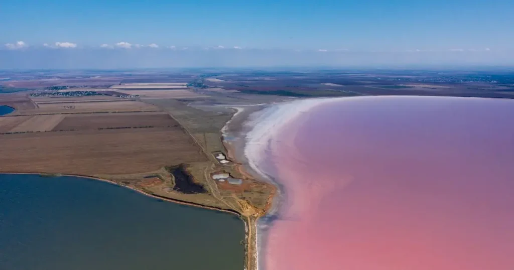 Beautiful pink sand beach