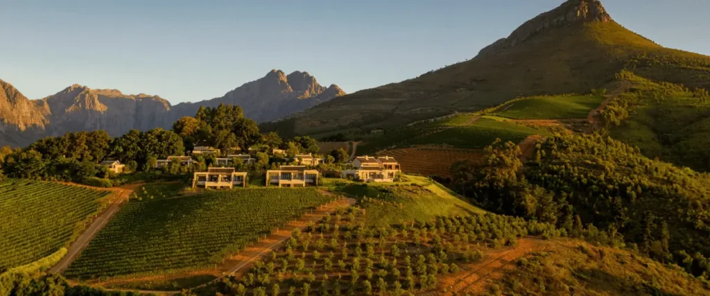 The Delaire Graff Estate, Stellenbosch