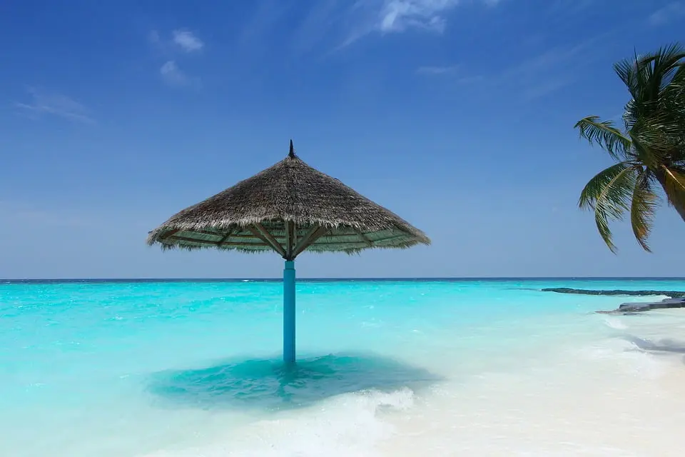 maldives-palm-trees-beach-summer