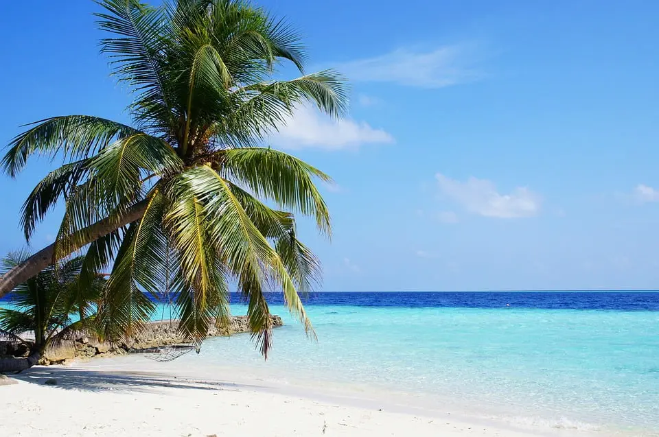 maldives-sea-blue-palm-ocean-sky